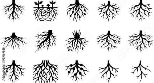 Mycelium Network Silhouette Set - Black Fungal Root Web and Underground Filament Graphics Isolated on White
