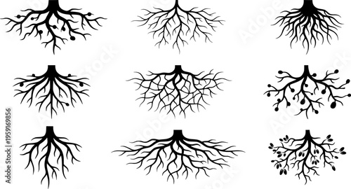 Mycelium Network Silhouette Set - Black Fungal Root Web and Underground Filament Graphics Isolated on White
