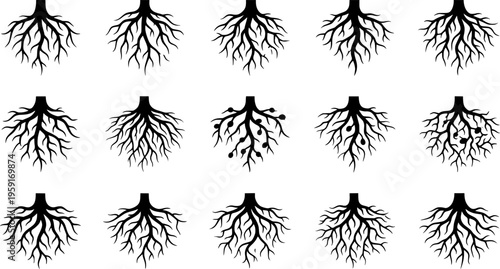 Mycelium Network Silhouette Set - Black Fungal Root Web and Underground Filament Graphics Isolated on White
