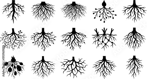 Mycelium Network Silhouette Set - Black Fungal Root Web and Underground Filament Graphics Isolated on White
