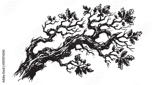 Black tree branch, twisted, with leaves, vector illustration, monochrome