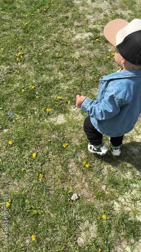 Toddler walking on grassy field with dandelions