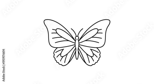 Detailed drawing of a butterfly.