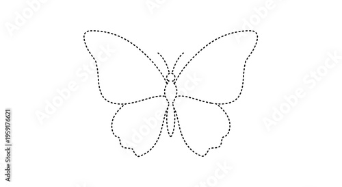 Detailed illustration of a butterfly.