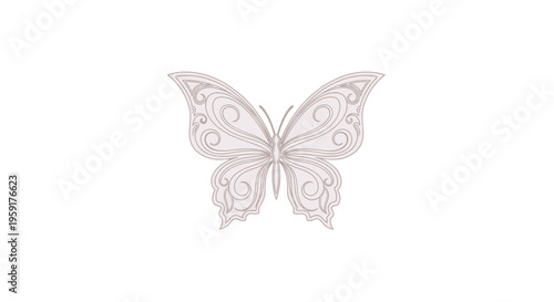 Delicate Pink Butterfly With Intricate Patterns.