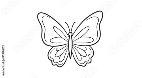 Detailed illustration of a butterfly.