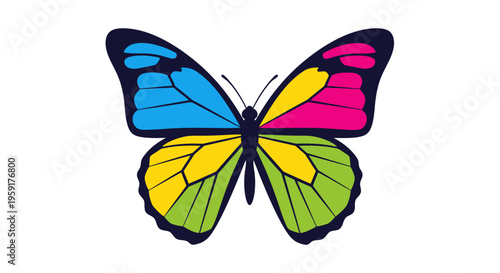 Colorful Butterfly Illustration Closeup View.