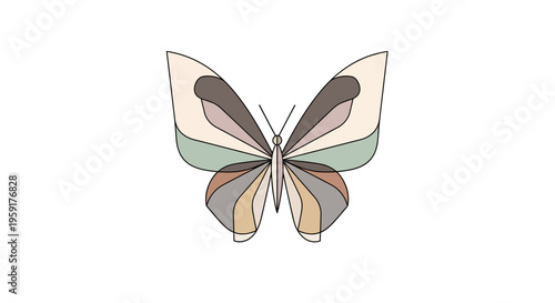 Colorful Butterfly Wings Spread Wide Open.