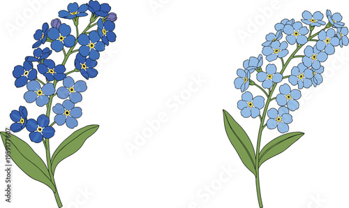 Forget-Me-Not Flower Illustration Set with Blue and Light Blue Blooms and Green Leaves for Nature, Floral, and Botanical Designs