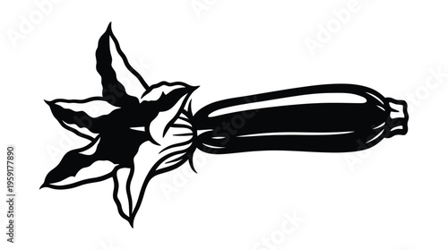 Zucchini squash with flower illustration summer vegetable healthy food