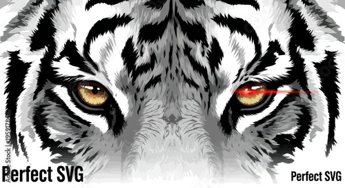 Intense White Tiger Eyes Laser Beam Focus