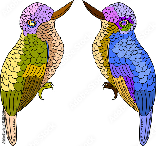 Colorful Symmetrical Hummingbird Illustration with Decorative Feather Pattern