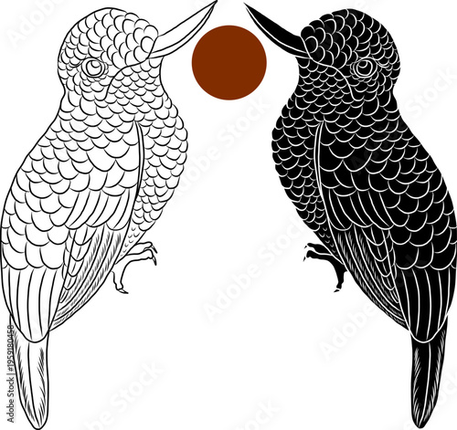 Colorful Symmetrical Hummingbird Illustration with Decorative Feather Pattern