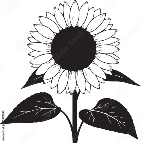 sunflower single silhouette white background vector