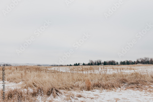 Wallpaper Mural Snow covered path winds through golden grassy field on Winter morning Torontodigital.ca