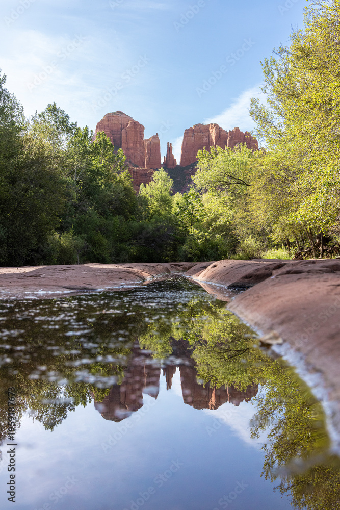 Fototapeta premium Cathedral Rock formation reflected in puddle vertical