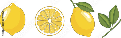 Set of Realistic Yellow Lemon Illustrations Including Whole Fruit Sliced Lemon Cross Section and Green Leaves Isolated on White Background