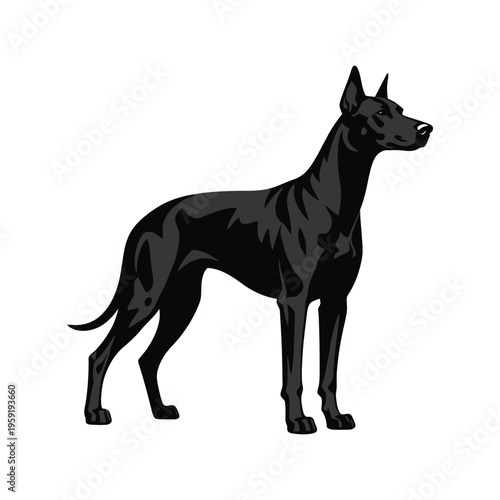 Great Dane Silhouette Vector Illustration Standing Profile View Isolated on White for Dog Breeder and Pet Logo Design