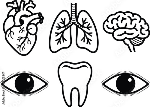 Human anatomy line art set, minimalist vector illustrations of heart lungs brain tooth and eyes designed for medical education healthcare diagrams and anatomy study materials.