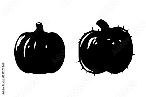 Set of two black and white pumpkins. Halloween, autumn. Vegetables and  garden. Flat vector design. Isolated on white background.