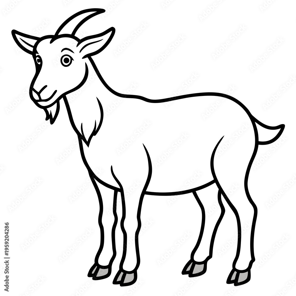 Fototapeta premium goat isolated on white