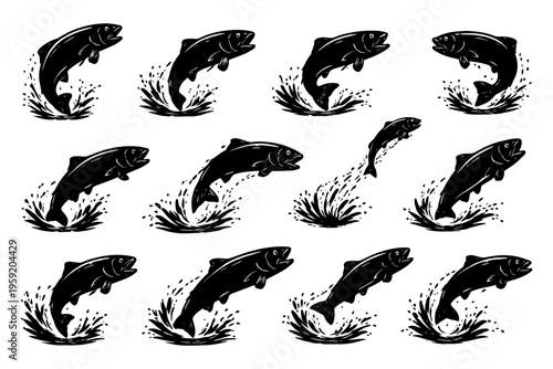 Dynamic black and white salmon illustrations showcasing leaping fish in motion.