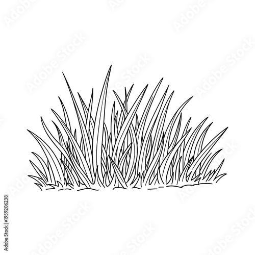 Black and white line art drawing of a clump of grass, showing individual blades and a natural, organic shape.