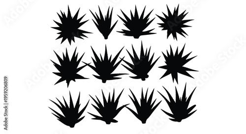 A collection of black agave plant silhouettes on a white background.