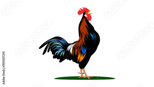 Rooster crowing, flat color vector illustration