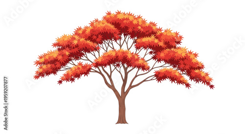Vibrant Autumn Tree with Red and Orange Leaves - Isolated on White
