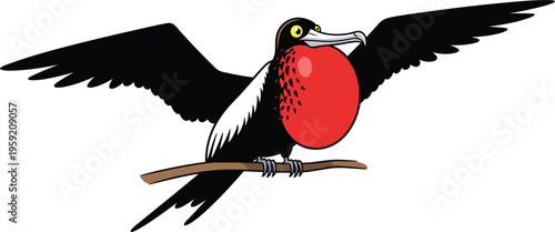 Cartoon Bird with Red Throat Pouch and Large Wings for Animal Illustrations, Wildlife Art, and Bird Designs