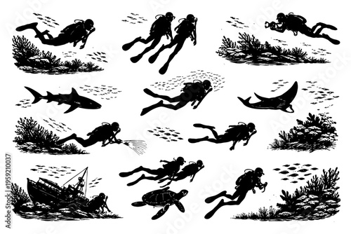 Diverse silhouettes of scuba divers exploring underwater marine life with sharks and turtles.