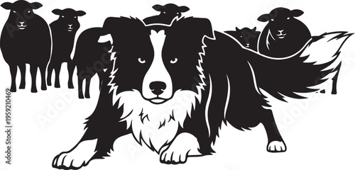 Border collie herding sheep silhouette illustration, Generative Ai