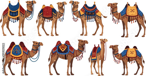 Decorated camels set with traditional Arabian ornaments and saddles, desert caravan animals flat vector illustration collection