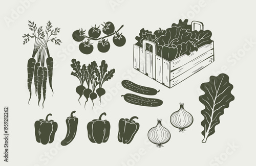  Hand-drawn monochrome vegetable vector set with carrots, tomatoes, and crate. Vintage woodcut style organic vegetable illustrations for farm-to-table branding. Fresh garden harvest line art icons.