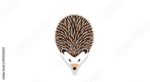 Hedgehog Face Close Up Portrait.