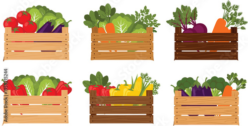 Vegetable Crates Vector Set with Fresh Produce, Carrots, Lettuce, Tomatoes, and Healthy Ingredients for Farm, Organic, and Food Designs