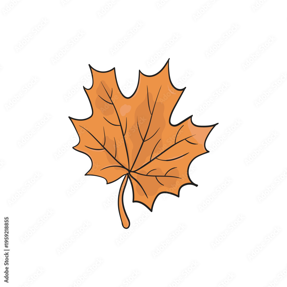 Fototapeta premium Autumn maple leaf vector illustration