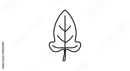 Simple Line Art Icon of a Spinach Leaf, Minimalist Vector Illustration