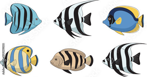 Tropical Fish Set with Exotic Marine Species Colorful Aquarium Sea Animals Isolated Cartoon Style Vector Illustration Collection