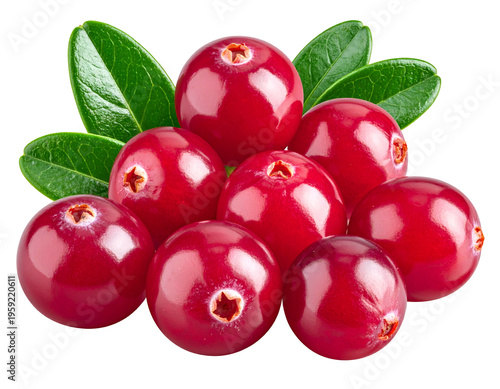 Juicy red berries with green leaves, a vibrant, healthy, natural cluster