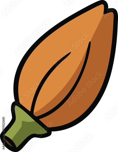 Brown almond seed with green cap illustration