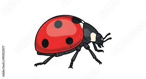 Colorful cartoon ladybug illustration on a white background