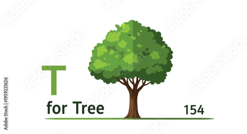 A vector graphic illustration of a tree with the letter T and the words for Tree.