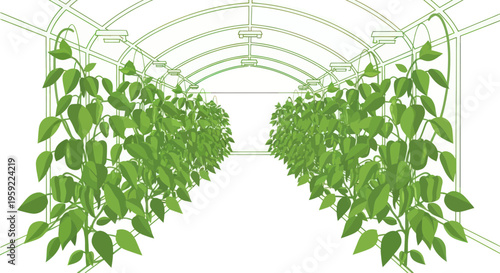 Greenhouse interior with rows of healthy growing pepper plants, cultivation concept.