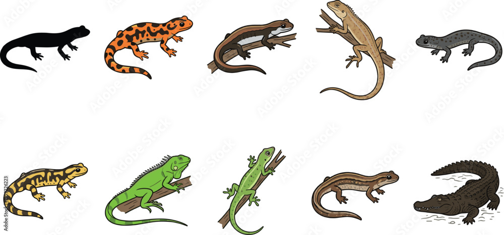 Fototapeta premium Set of 9 Lizard, Salamander, and Alligator Icons with Colorful and Black Variants for Animal, Reptile, and Nature Illustrations