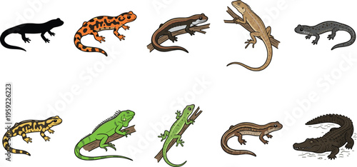 Set of 9 Lizard, Salamander, and Alligator Icons with Colorful and Black Variants for Animal, Reptile, and Nature Illustrations