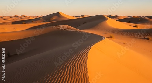 Vast desert sand dunes under golden sunset sky landscape
