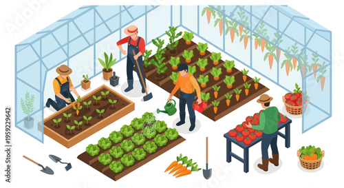 Greenhouse Farming: People Growing Vegetables in a Controlled Environment