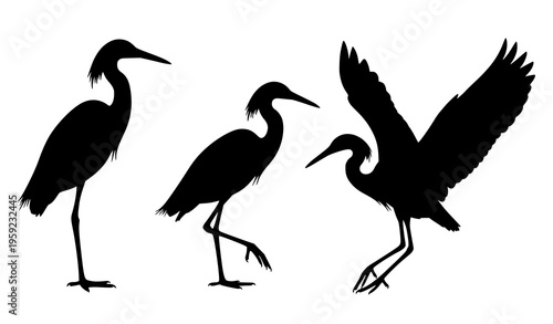 Snowy egret silhouette vector clip art set with multiple bird poses